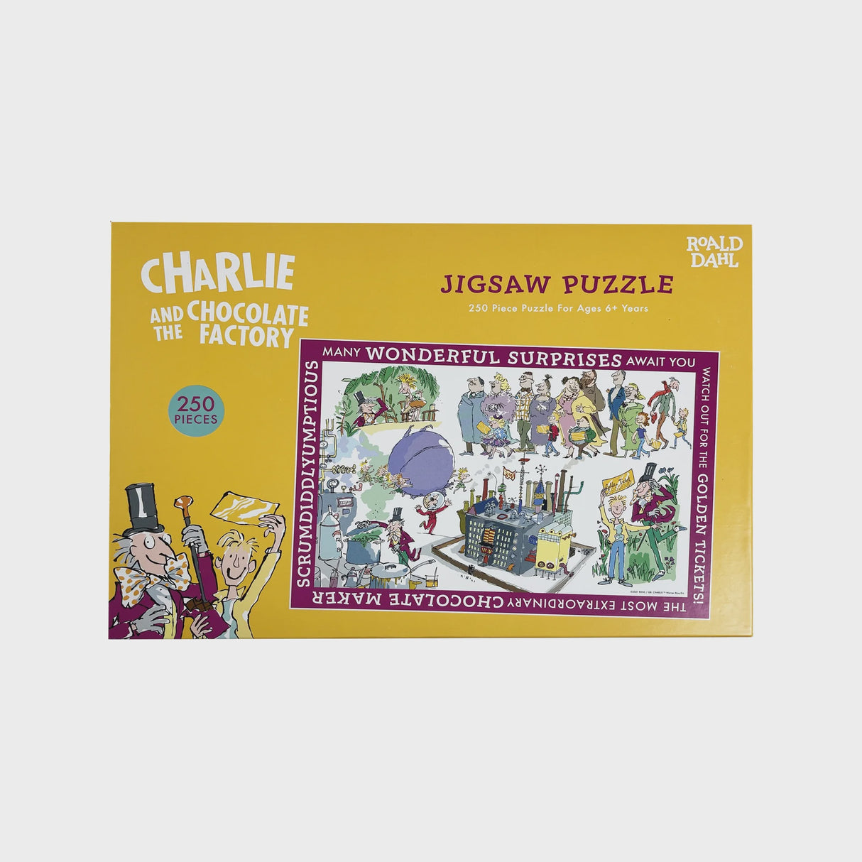 Roald Dahl Charlie and the Chocolate Factory Puzzle