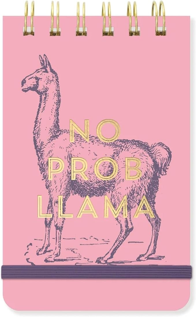 Vintage Sass Twin Wire Notepad: No Prob Llama