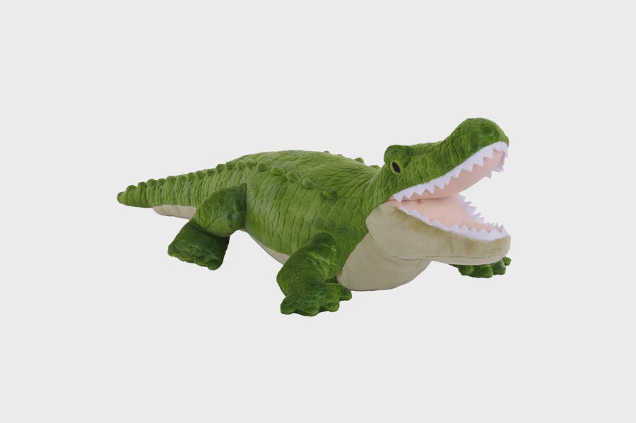 Alligator
