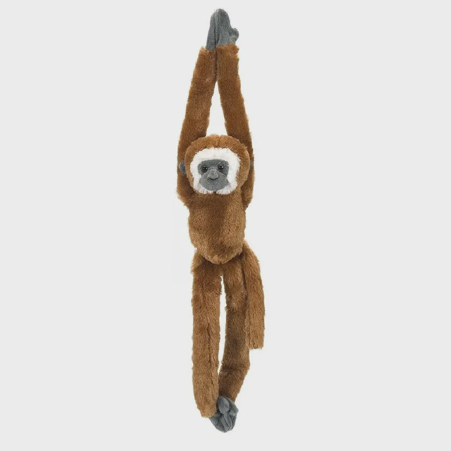 Hanging Lar Gibbon