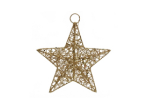 Gold Wire Mesh Star