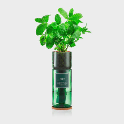 Hydro Herb