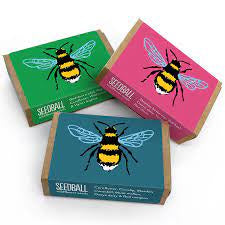 Seedball Boxes