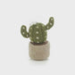 Felt Cactus